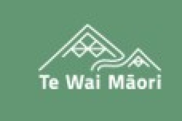 What's coming up for Te Wai Māori this year  