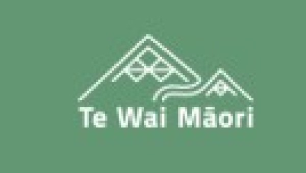 What's coming up for Te Wai Māori this year  