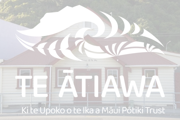 Formal Notice – Invitation to Vote - Te Tatau o Te Pō representatives  