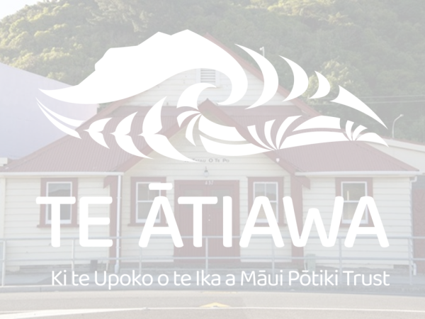 Formal Notice – Invitation to Vote - Te Tatau o Te Pō representatives  