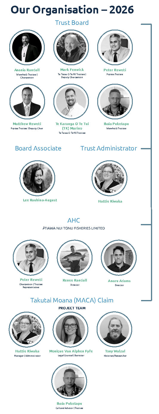 Organisational Structure