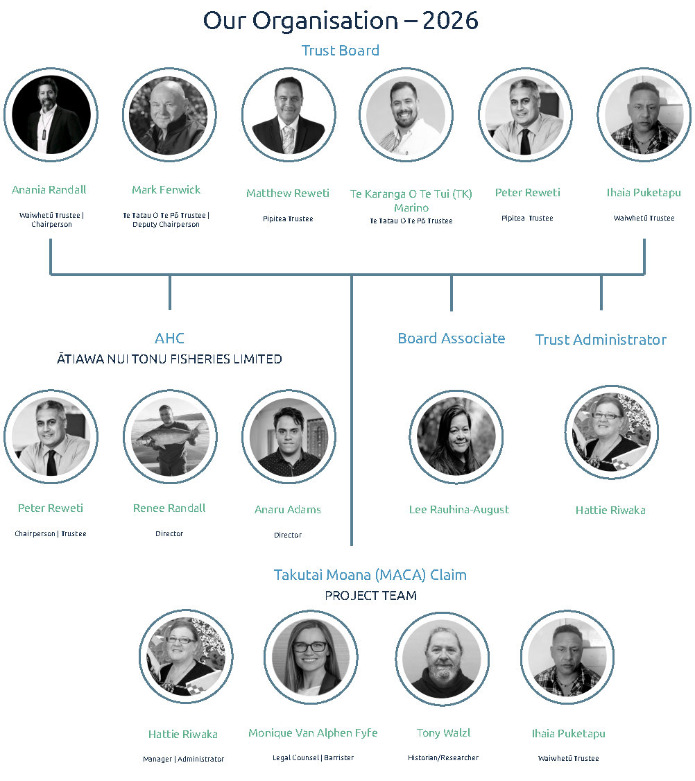Organisational Structure