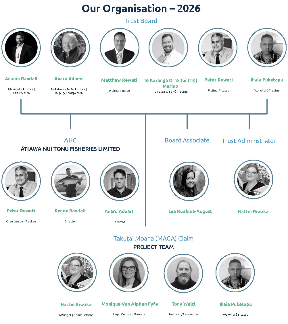 Organisational Structure