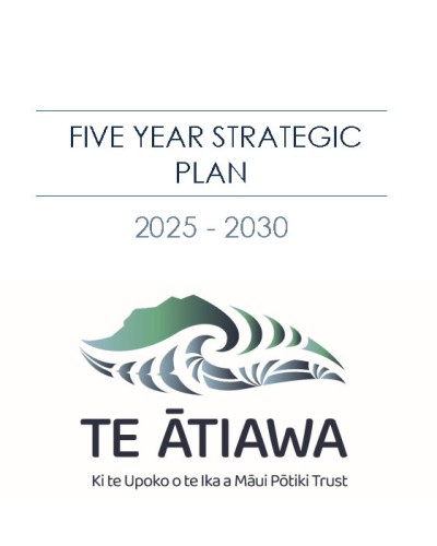 Strategic Plan Download