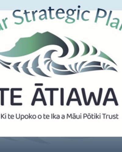 DRAFT - Strategic Plan Download