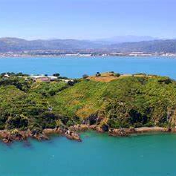 Matiu Island 
